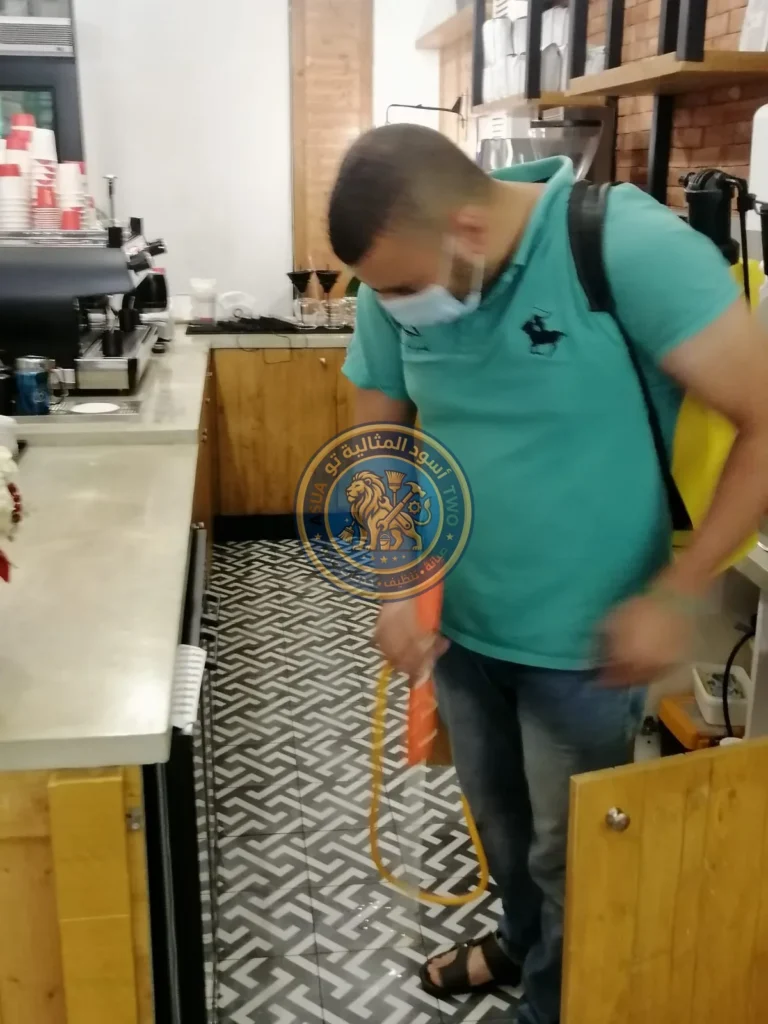 شركة مكافحة القوارض بالخفجي