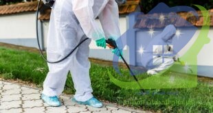 شركة مكافحة حشرات بالدمام