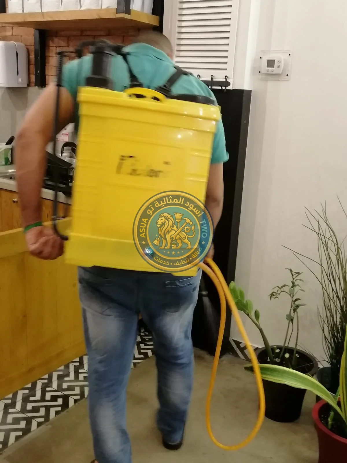 شركة رش مبيدات بالجبيل